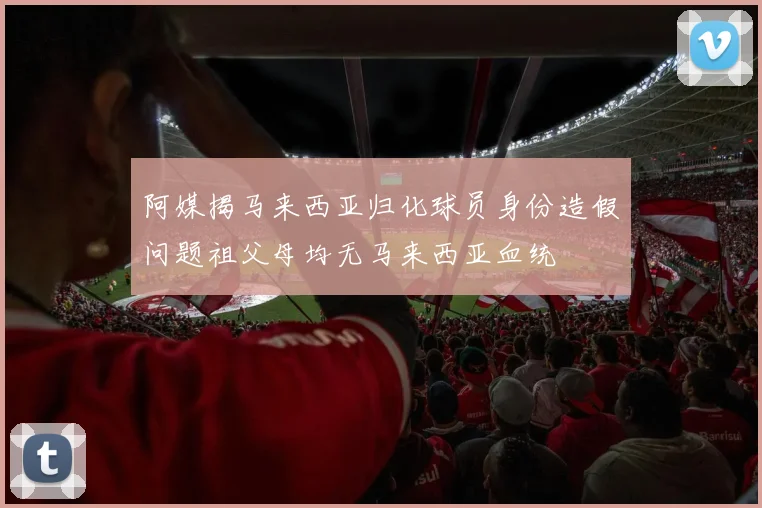 阿媒揭马来西亚归化球员身份造假问题祖父母均无马来西亚血统