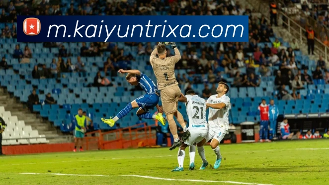 多媒体互动体验